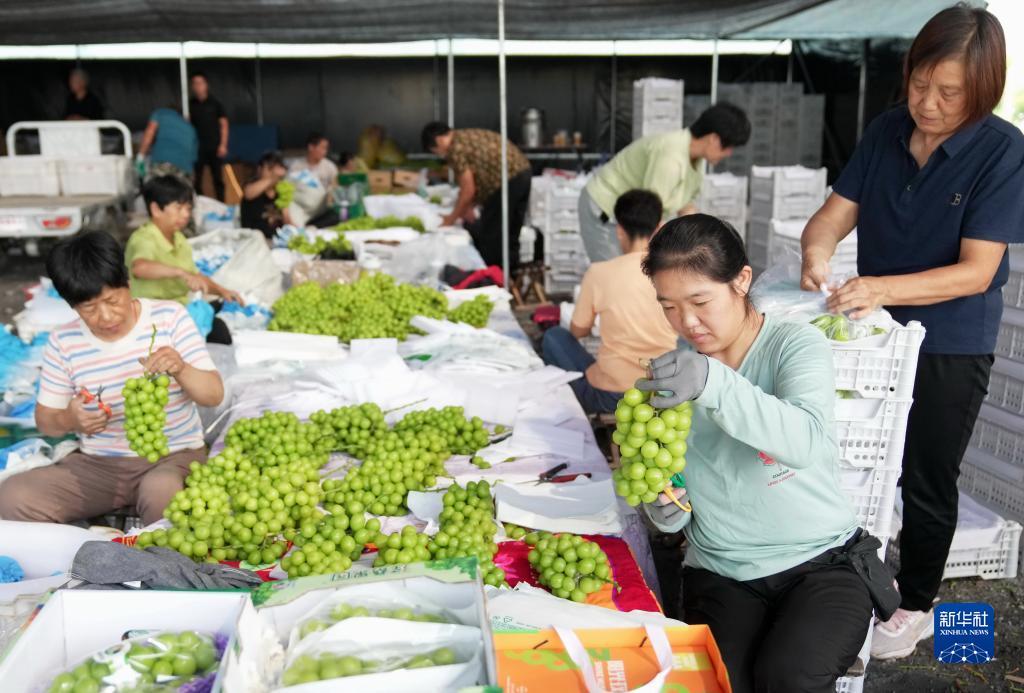 百易街机金蟾礼包